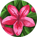 Nathalie R. profile picture